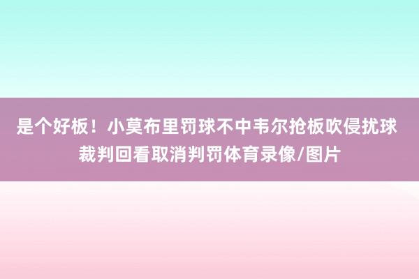 是个好板！小莫布里罚球不中韦尔抢板吹侵扰球 裁判回看取消判罚体育录像/图片