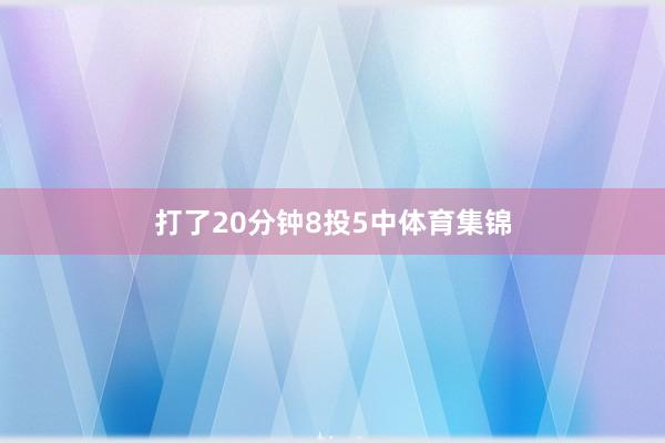 打了20分钟8投5中体育集锦