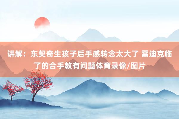 讲解：东契奇生孩子后手感转念太大了 雷迪克临了的合手教有问题体育录像/图片