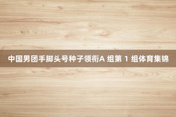 中国男团手脚头号种子领衔A 组第 1 组体育集锦