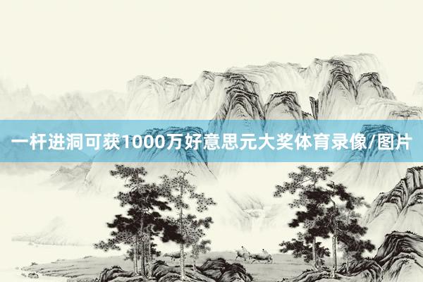 一杆进洞可获1000万好意思元大奖体育录像/图片