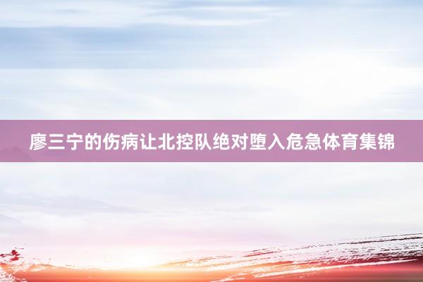 廖三宁的伤病让北控队绝对堕入危急体育集锦