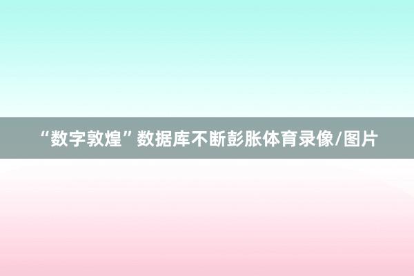 “数字敦煌”数据库不断彭胀体育录像/图片