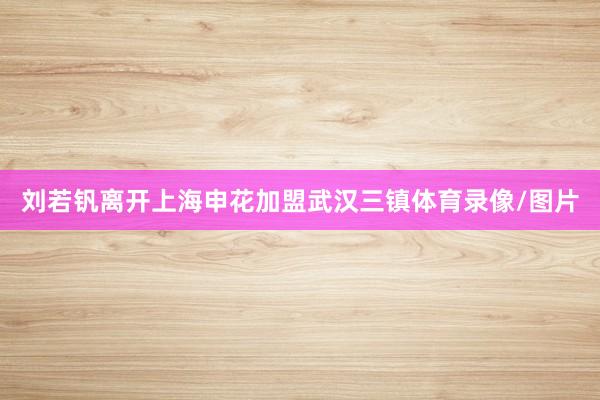 刘若钒离开上海申花加盟武汉三镇体育录像/图片