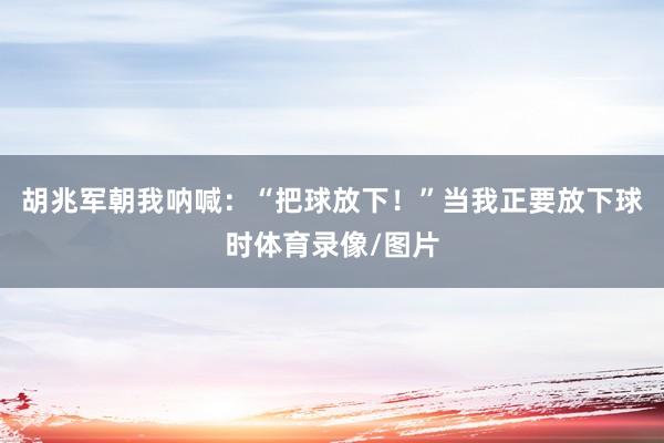 胡兆军朝我呐喊：“把球放下！”当我正要放下球时体育录像/图片