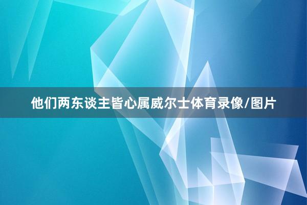 他们两东谈主皆心属威尔士体育录像/图片