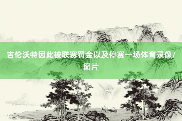 吉伦沃特因此被联赛罚金以及停赛一场体育录像/图片