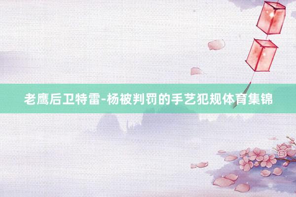 老鹰后卫特雷-杨被判罚的手艺犯规体育集锦