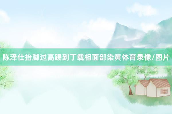 陈泽仕抬脚过高踢到丁载相面部染黄体育录像/图片