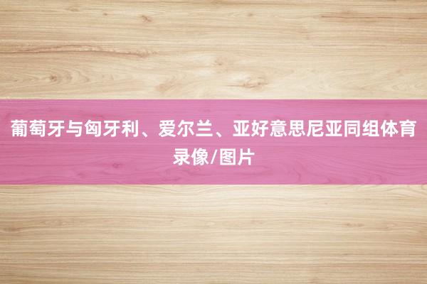 葡萄牙与匈牙利、爱尔兰、亚好意思尼亚同组体育录像/图片