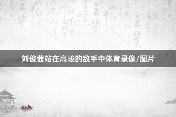 刘俊茜站在高峻的敌手中体育录像/图片