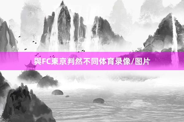 與FC東京判然不同体育录像/图片