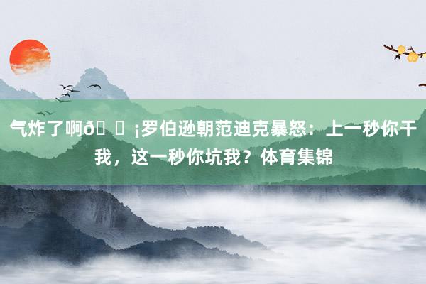 气炸了啊😡罗伯逊朝范迪克暴怒：上一秒你干我，这一秒你坑我？体育集锦