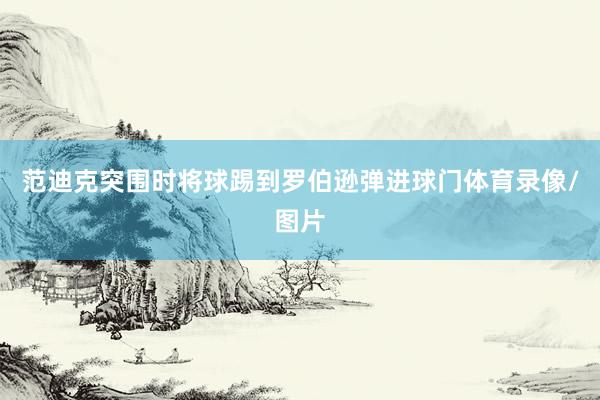 范迪克突围时将球踢到罗伯逊弹进球门体育录像/图片