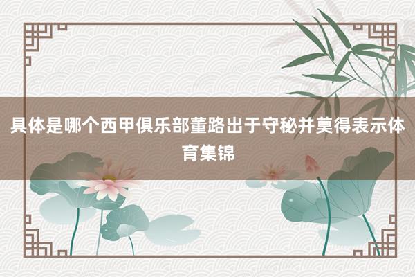 具体是哪个西甲俱乐部董路出于守秘并莫得表示体育集锦