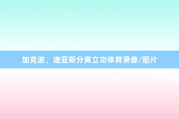 加克波、迪亚斯分离立功体育录像/图片