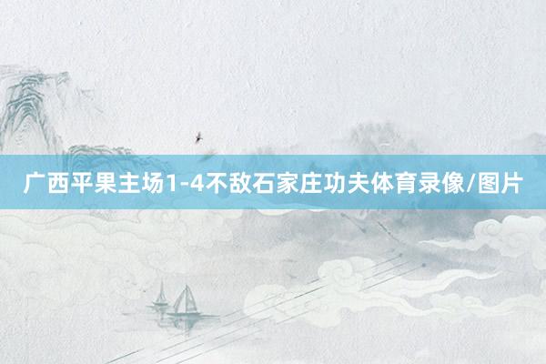 广西平果主场1-4不敌石家庄功夫体育录像/图片