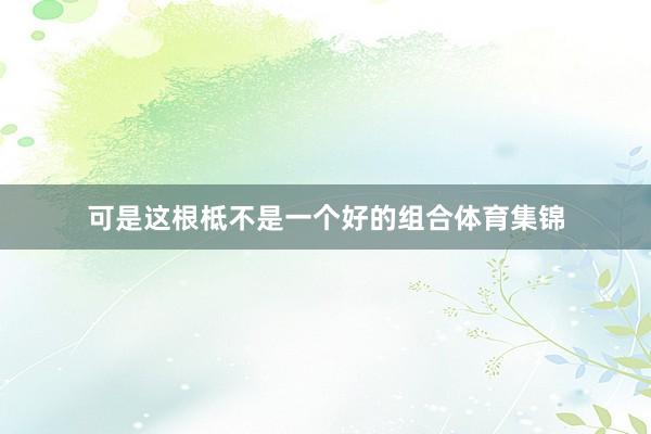 可是这根柢不是一个好的组合体育集锦
