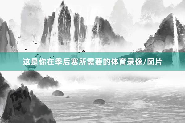 这是你在季后赛所需要的体育录像/图片