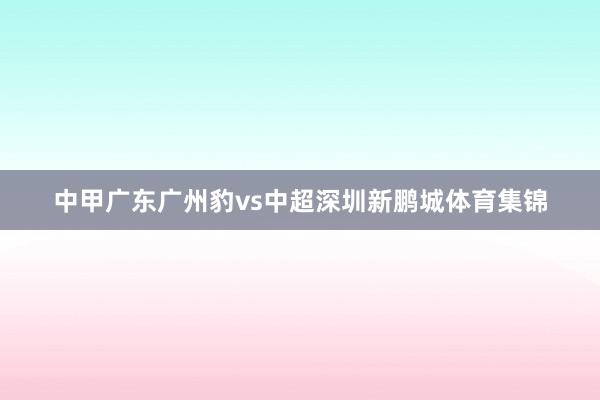 中甲广东广州豹vs中超深圳新鹏城体育集锦