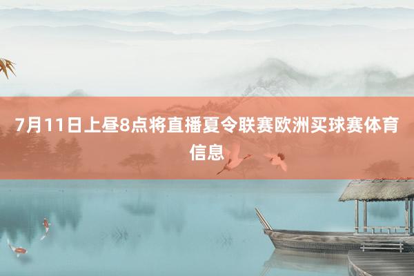 7月11日上昼8点将直播夏令联赛欧洲买球赛体育信息