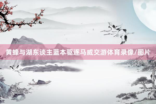 黄蜂与湖东谈主蓝本驱逐马威交游体育录像/图片