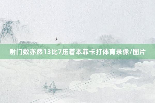 射门数亦然13比7压着本菲卡打体育录像/图片