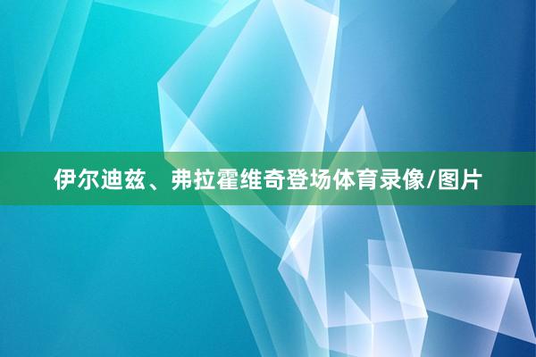 伊尔迪兹、弗拉霍维奇登场体育录像/图片