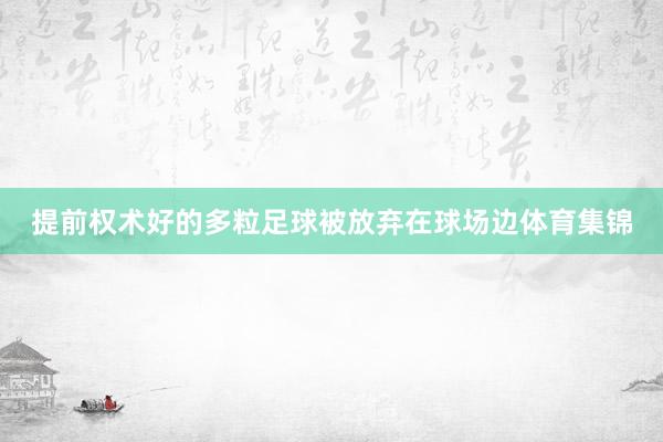 提前权术好的多粒足球被放弃在球场边体育集锦
