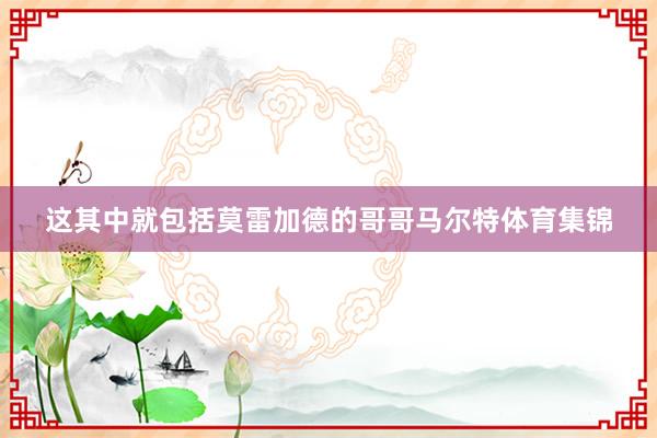 这其中就包括莫雷加德的哥哥马尔特体育集锦