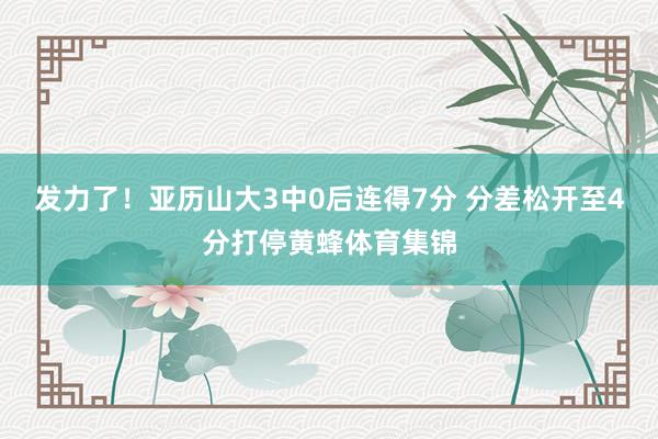 发力了！亚历山大3中0后连得7分 分差松开至4分打停黄蜂体育集锦