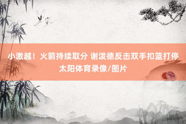 小激越！火箭持续取分 谢泼德反击双手扣篮打停太阳体育录像/图片