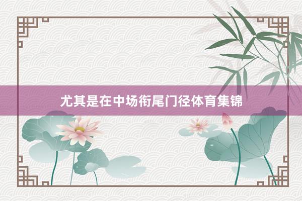 尤其是在中场衔尾门径体育集锦
