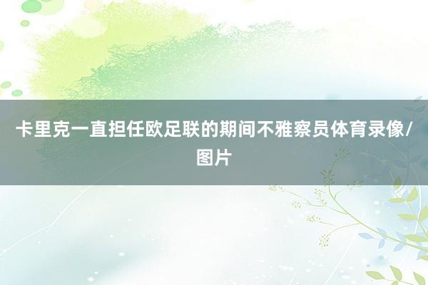 卡里克一直担任欧足联的期间不雅察员体育录像/图片