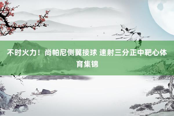 不时火力！尚帕尼侧翼接球 速射三分正中靶心体育集锦