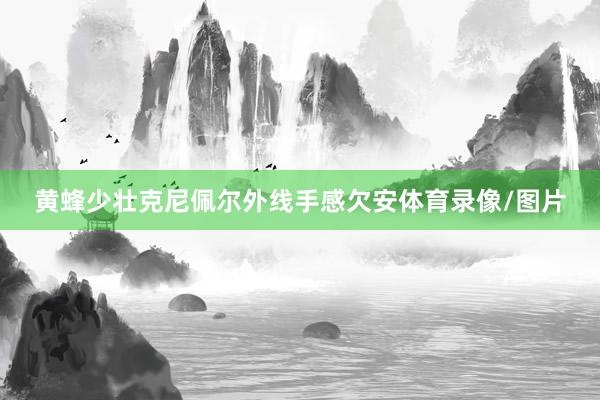 黄蜂少壮克尼佩尔外线手感欠安体育录像/图片