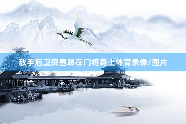 敌手后卫突围踢在门将身上体育录像/图片