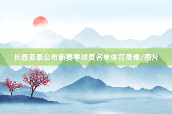 长春亚泰公布新赛季球员名单体育录像/图片