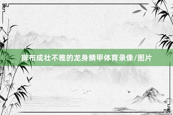排布成壮不雅的龙身鳞甲体育录像/图片
