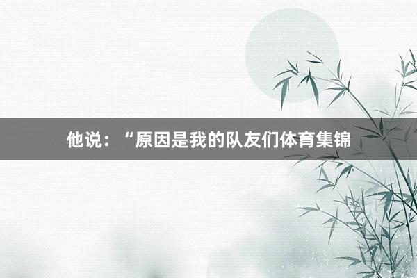 他说：“原因是我的队友们体育集锦