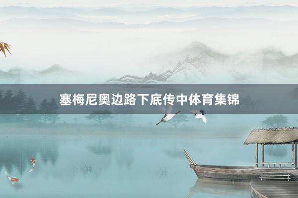 塞梅尼奥边路下底传中体育集锦