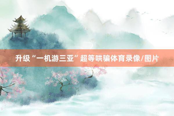 升级“一机游三亚”超等哄骗体育录像/图片