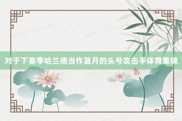 对于下赛季 哈兰德当作蓝月的头号攻击手体育集锦