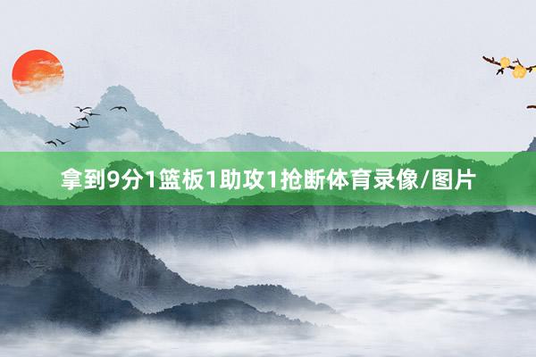 拿到9分1篮板1助攻1抢断体育录像/图片