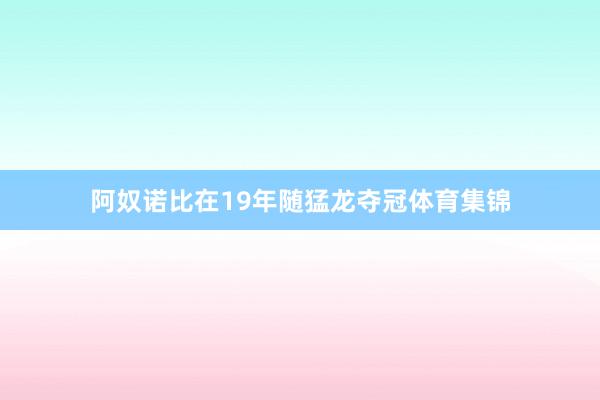 阿奴诺比在19年随猛龙夺冠体育集锦