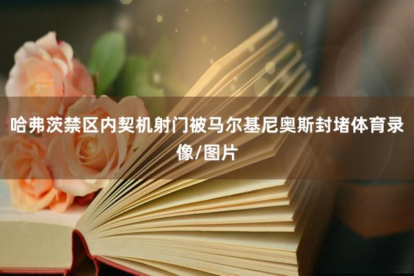 哈弗茨禁区内契机射门被马尔基尼奥斯封堵体育录像/图片