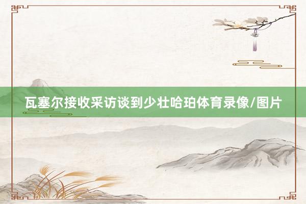 瓦塞尔接收采访谈到少壮哈珀体育录像/图片