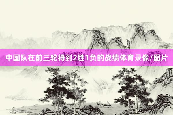 中国队在前三轮得到2胜1负的战绩体育录像/图片